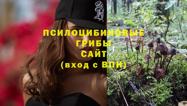 мет Абаза