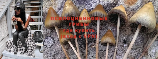 2c-b Абдулино