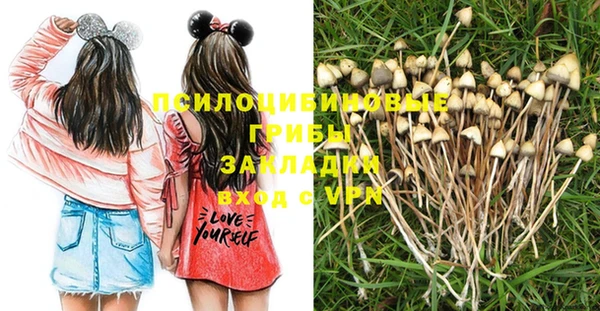 2c-b Абдулино