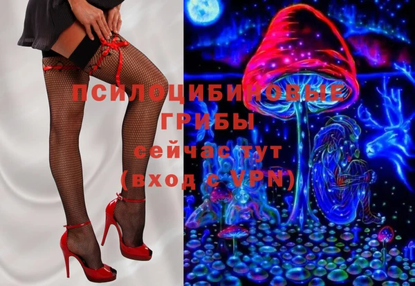 PSILOCYBIN Магас